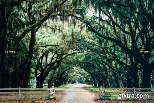 Savannah Mobile & Desktop Lightroom Presets