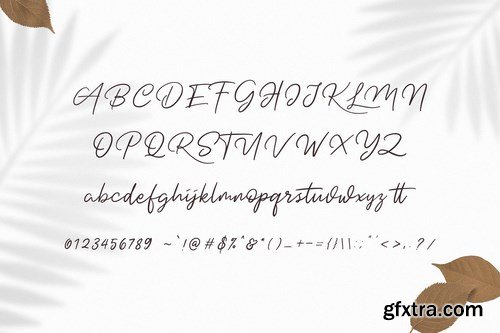 Dotyville Script Font