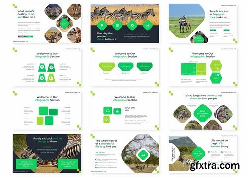 Zebraira - Powerpoint Google Slides and Keynote Templates