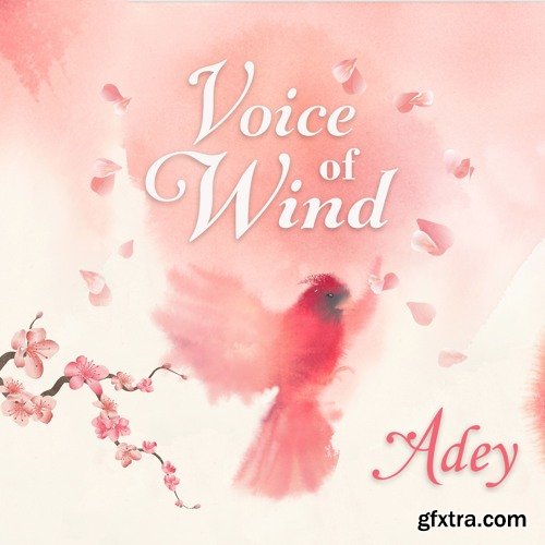 Soundiron Voice of Wind Adey KONTAKT-SYNTHiC4TE