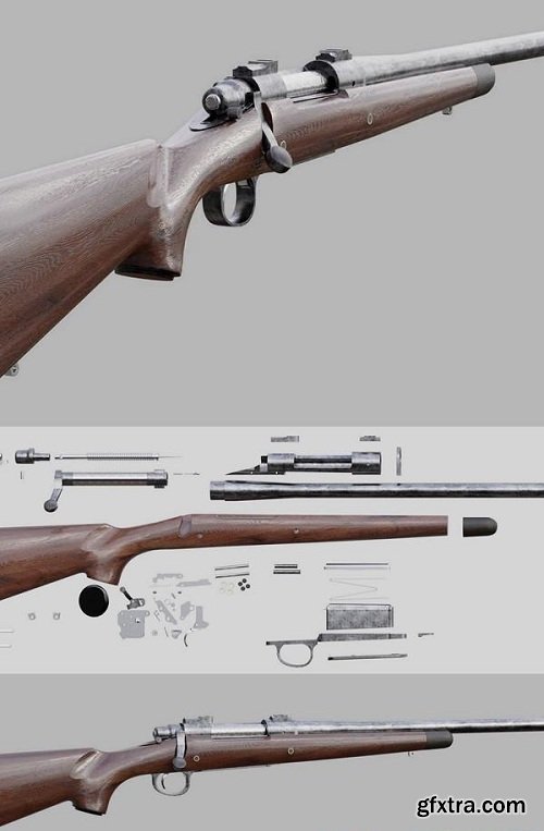 Remington 700 3D model