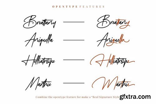 CM - Mayestica - Luxury Signature Font 4040495