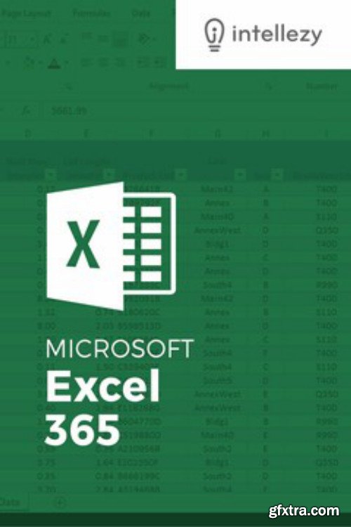 Excel 365 VBA Expert