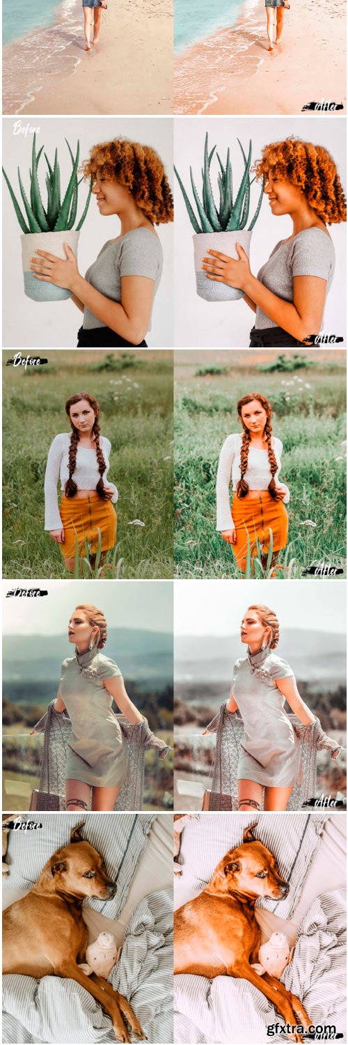 5 Summer Noon Desktop Lightroom Presets 1715202