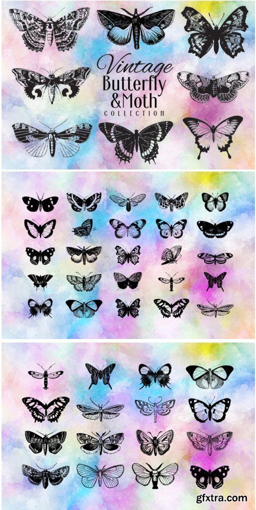 Vintage Butterfly Collection 1715315