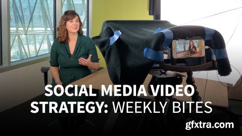 Social Media Video Strategy: Weekly Bites (Updated 22/8/2019)