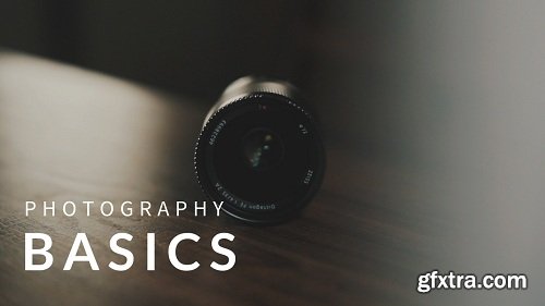Photography for Beginners: Understanding the Basics