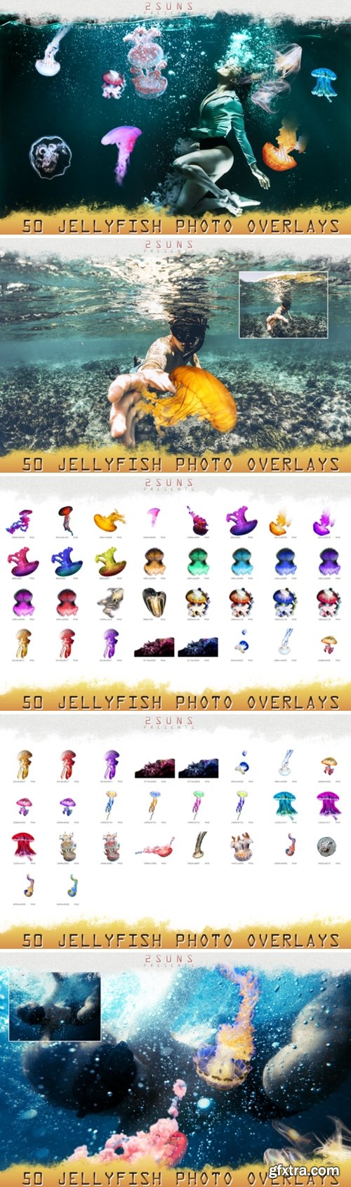 50 Jellyfish Overlays 1717705