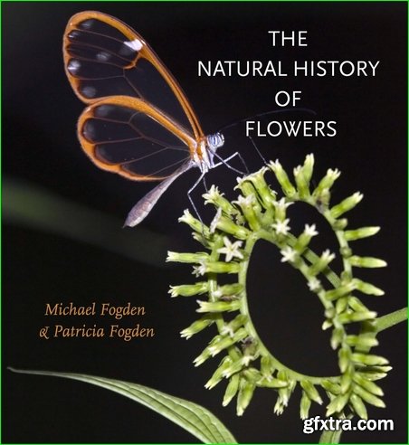 The Natural History of Flowers