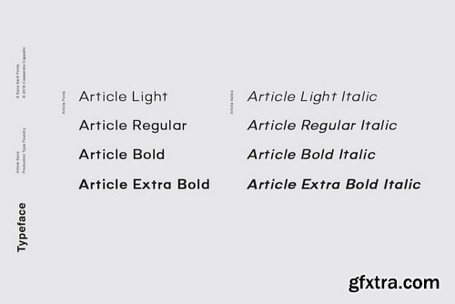 Article Font Family