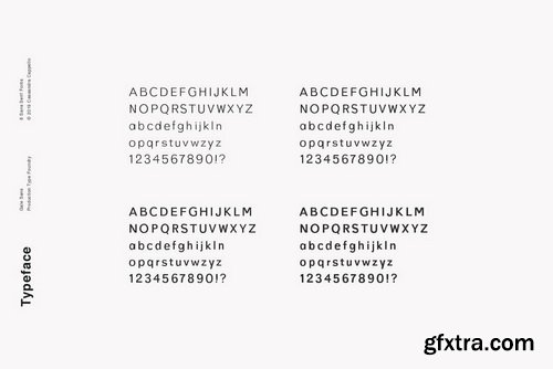 Gale Font Family