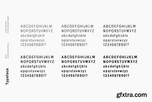 Pardo Font Family