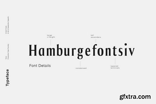 Tonic Font Family