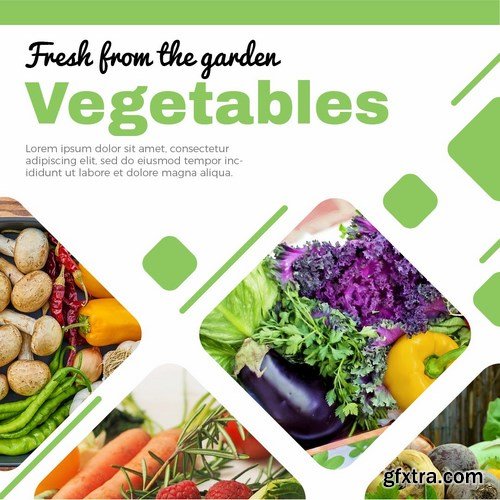 Veggies Media Banners