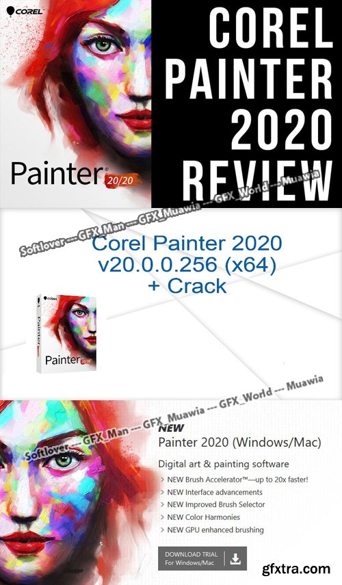 corel painter 2020 portable
