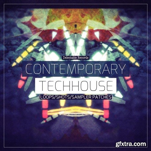 Delectable Records Contemporary Tech House WAV