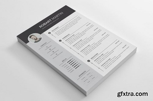 Resume Template 141