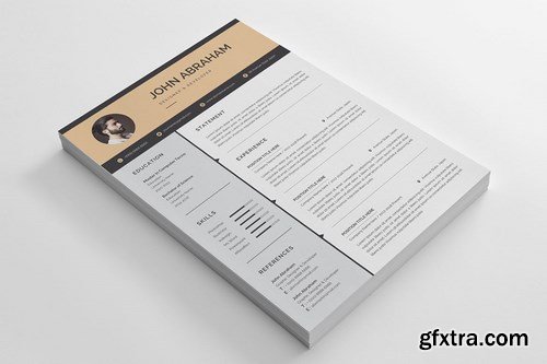 Resume Template 142