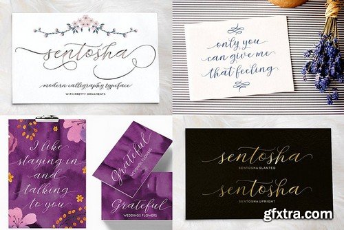 CM - Handwritten Fonts Collection 2042996