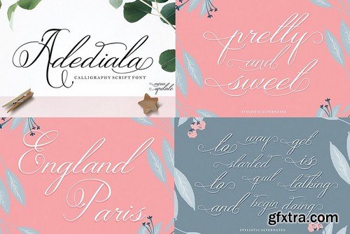 CM - Handwritten Fonts Collection 2042996