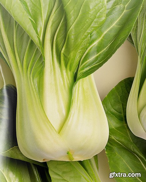 Plastic Bag With Bok Choy Mockup 48041