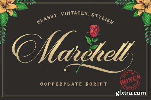 MightyDeals 23 Premium Fonts from Blankids Studio