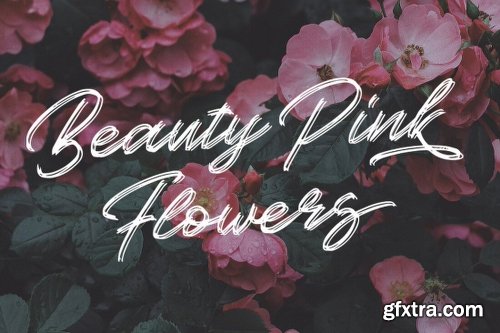 MightyDeals 23 Premium Fonts from Blankids Studio