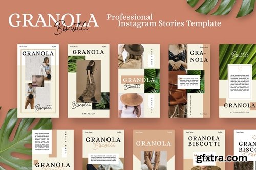 Granola Biscotti Stories Template