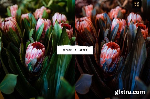 CreativeMarket - Deep Coral 4 Lightroom Preset Bundle 3957677