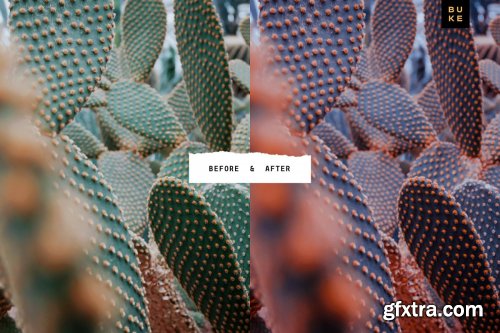 CreativeMarket - Deep Coral 4 Lightroom Preset Bundle 3957677