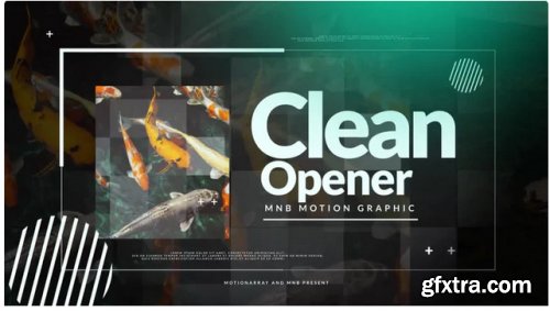 Clean Opener - After Effects 262584