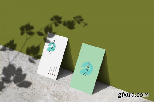 Business Card Mockup