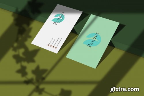 Business Card Mockup