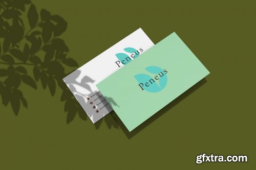 Business Card Mockup