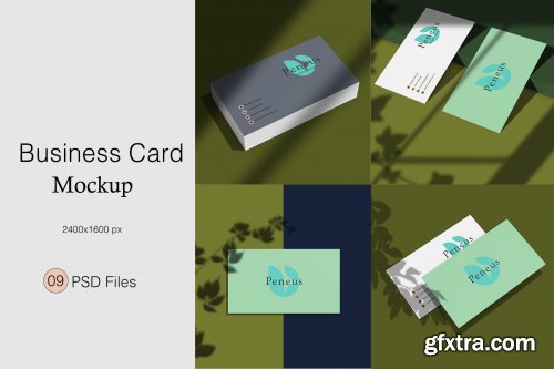 Business Card Mockup