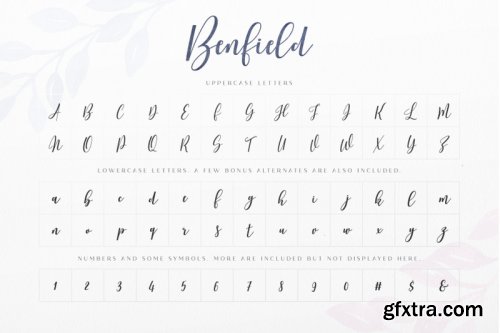 Benfield - Script Font