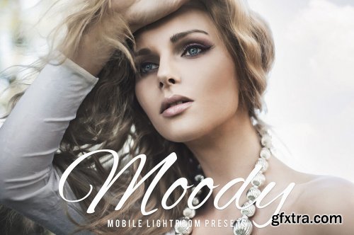 Moody Mobile & Desktop Lightroom Presets