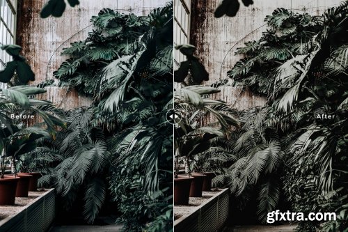 CreativeMarket - Botanical Mobile & Desktop Lightroom Presets 4026083