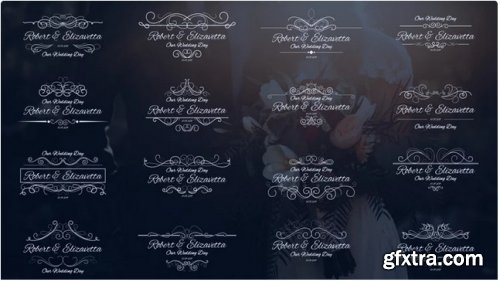 Wedding Calligraphic Titles - Premiere Pro Templates 274972
