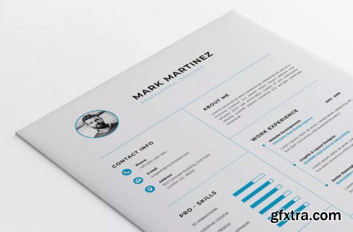 Minimalist CV Resume Vol. 49