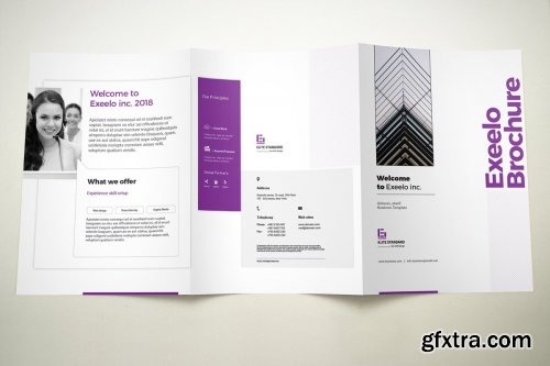 CreativeMarket - Brochure Pack 3997063