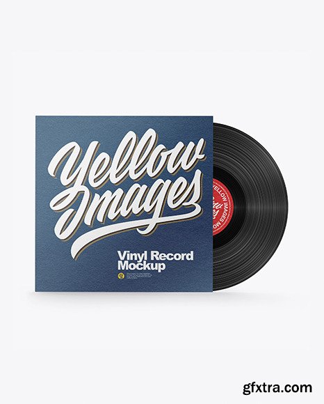 Textured Vinyl Record Mockup 48173