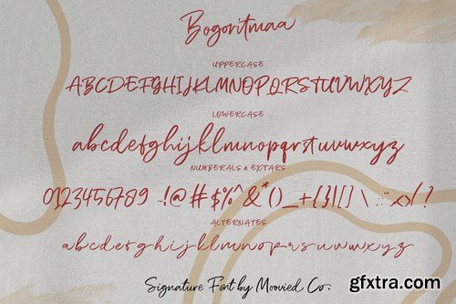 CM - Bogoritmaa Signature font 4068731