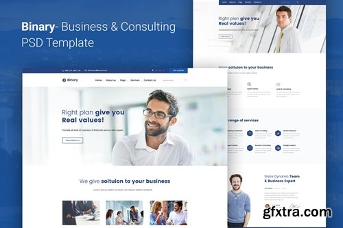 Binary - Business Consulting PSD Template