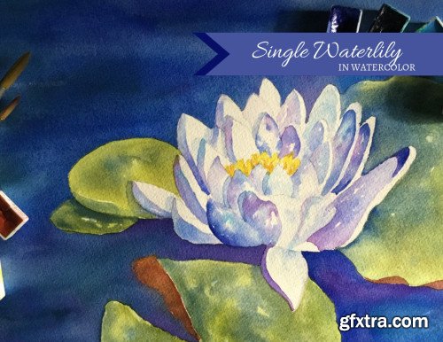 Single Waterlily in Watercolor