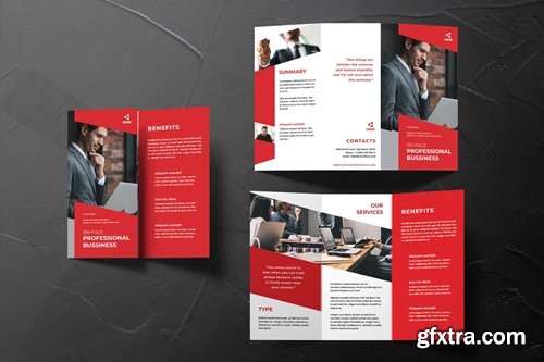 Professional Trifold Brochure