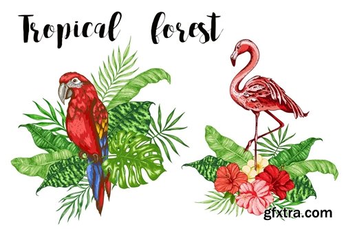 Tropical Forest Clip Art