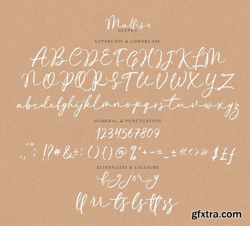 Malliso - Handwritten Script Font