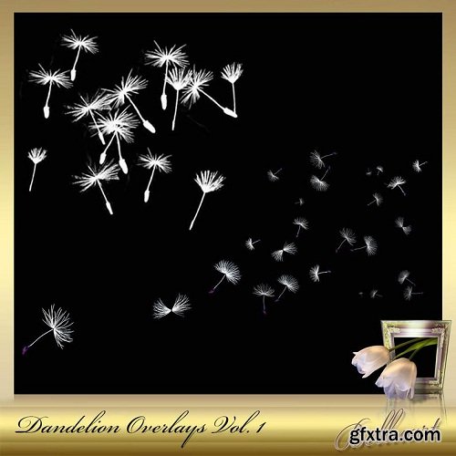 8 Dandelion Overlays