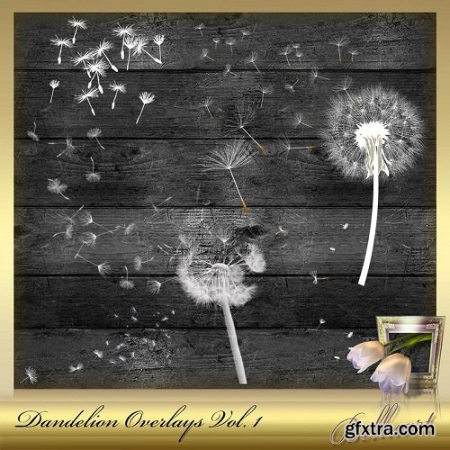 8 Dandelion Overlays